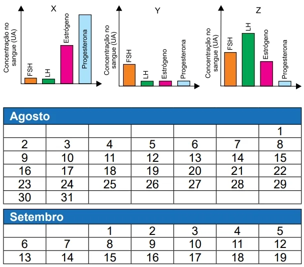 Albert Einstein 2021: Uma mulher saudável de 32 anos teve os níveis dos hormônios hipofisários e ovarianos determinados em três momentos (X, Y e Z) do ciclo menstrual regular de 28 dias.