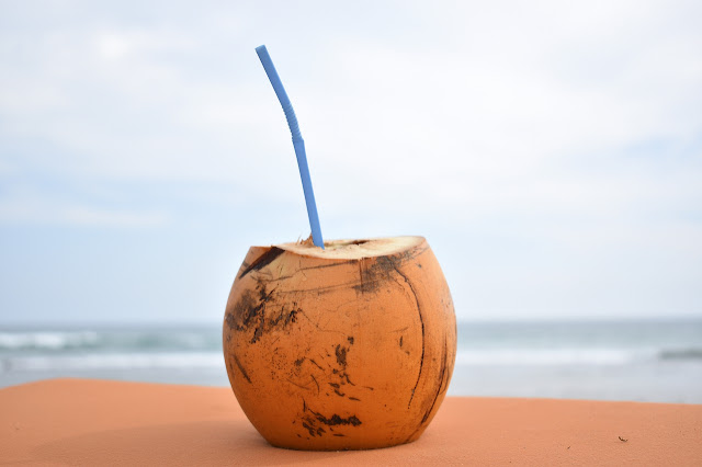 Can Dogs Drink Coconut Water? Key Nutrients + Benefits!