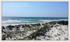 Cape San Blas, Florida-The Forgotten Coast- From My Front Porch To Yours