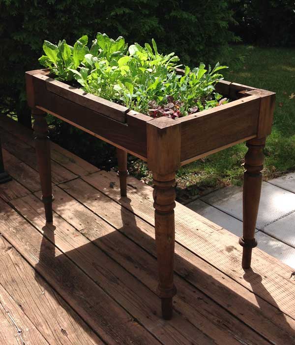 raised garden bed for lettuce made from an old desk