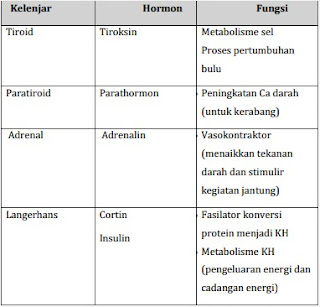 Jenis dan Fungsi Hormon pada Unggas