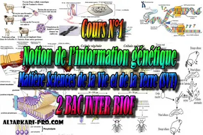 Cours N°1 Notion de l’information génétique 2 bac biof PDF , Sciences de la Vie et de la Terre biof, svt biof, 2 bac biof, Examen National, Devoir, 2 bac inter, PDF, baccalauréat international maroc, baccalauréat international, BAC, 2 éme Bac, Exercices, Cours, devoirs, examen nationaux, exercice, filière, 2ème Baccalauréat, prof de soutien scolaire a domicile, cours gratuit, cours gratuit en ligne, cours particuliers, cours à domicile, soutien scolaire à domicile, les cours particuliers, cours de soutien, les cours de soutien, cours online, cour online.