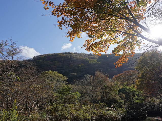 香取の山道からの眺望