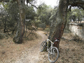 Ruta en bici de Madrid a Manzanares el Real por el GR-124, junio 2012