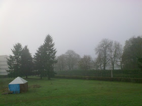 Janela de Beaulieu, Rennes, França - Dezembro - Outono