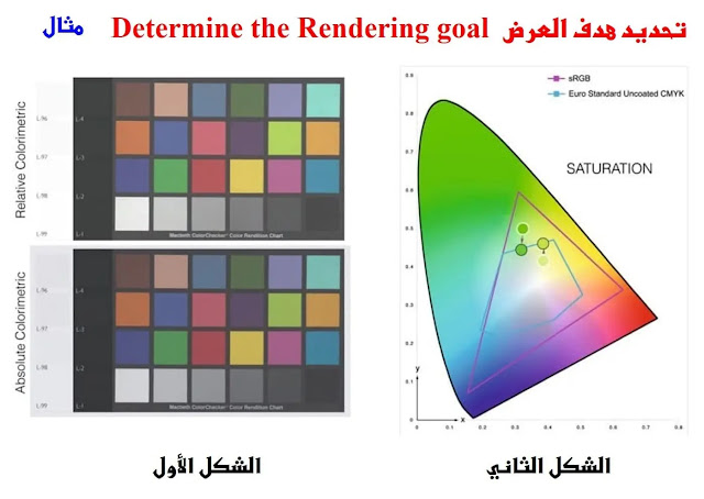 الألوان / مقياس الألوان المطلق والنسبي