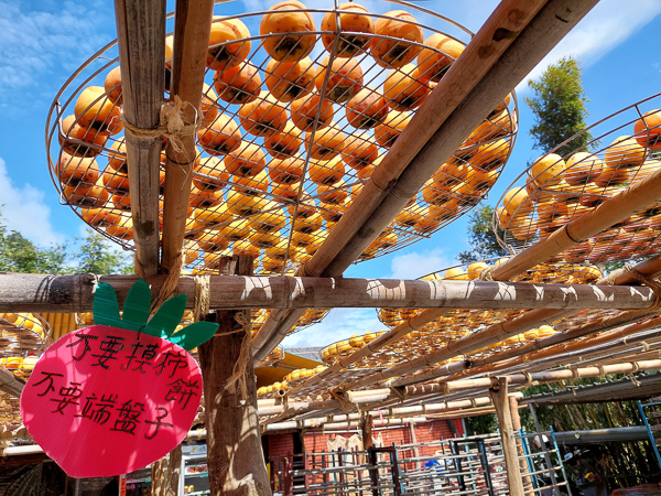 新竹新埔味衛佳柿餅觀光農場傳承百餘年柿餅加工文化，攝影人必訪