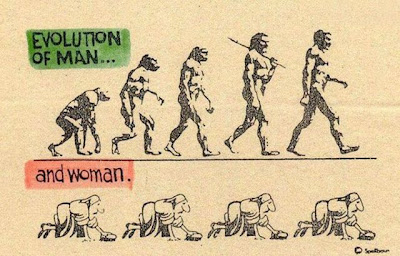 evolution funny pictures