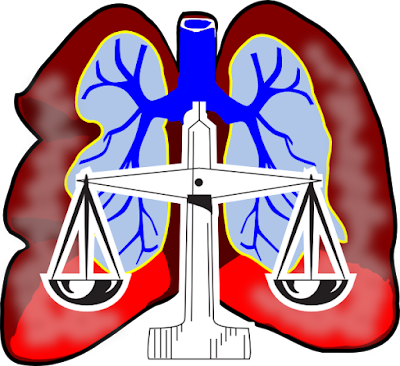 A Closer Look at Mesothelioma and Michigan Lawyers