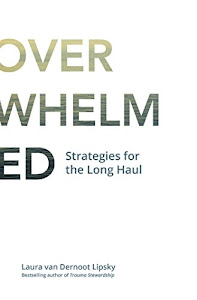 The Age of Overwhelm: Strategies for the Long Haul