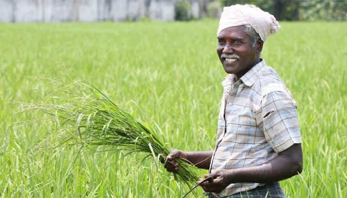 चुनाव से पहले इस राज्य में किसानों के लिए बड़ा ऐलान, 2 लाख रुपये तक का कर्ज माफ