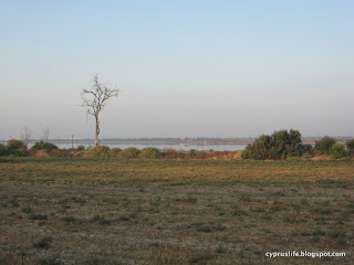 Salt Lake in Larnaka; brown ground cover, water remaining after a wet winter