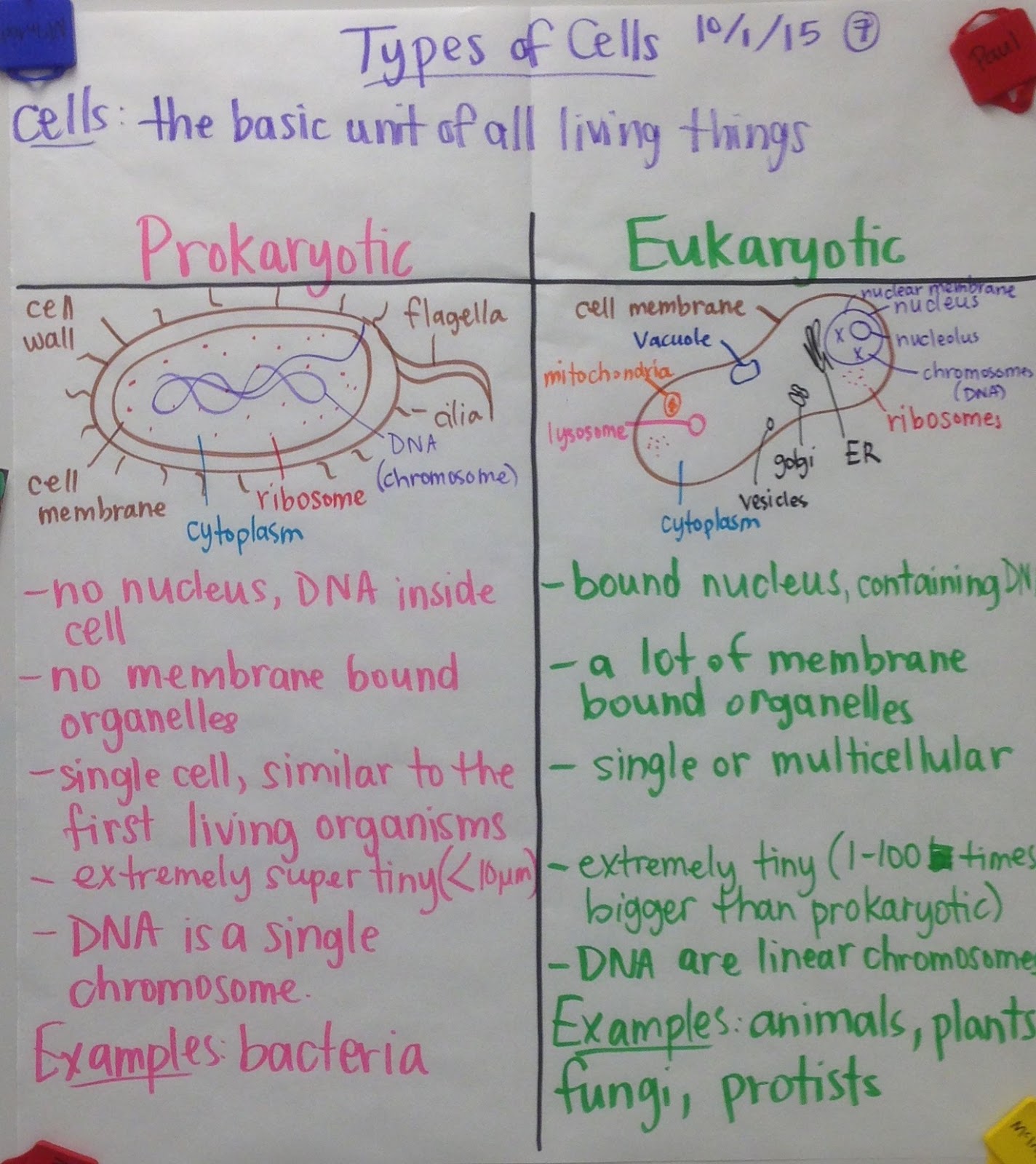 Mrs. Paul - Biology: Biology Notes/Charts 2015-2016