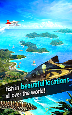 Game Ace Fishing: Wild Catch v2.0.5 Apk Mod (Easy Fishing)