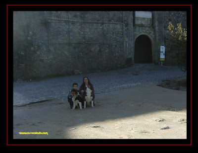 passeio em Palmela com cães