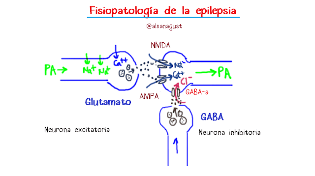 epilepsia fisiopatología