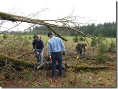 woodcutting at Woods 03