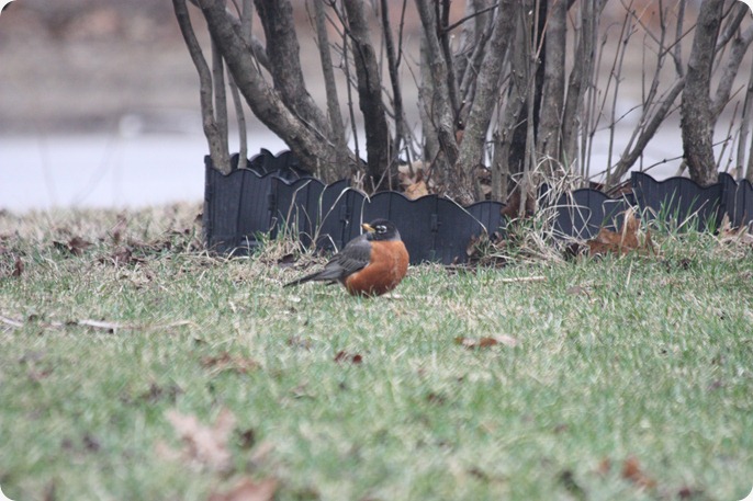 IMG_9846 IMG_9846