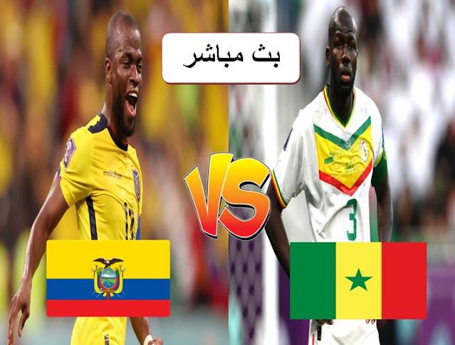 مباراة السنغال والأكوادور