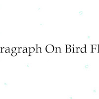 Paragraph on Bird Flu