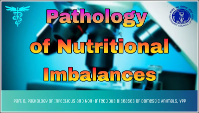 Pathology of Nutritional Imbalances