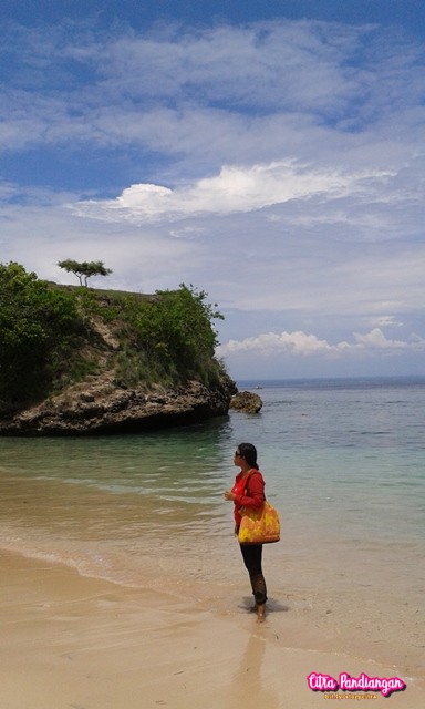 cara menuju pantai pink beach