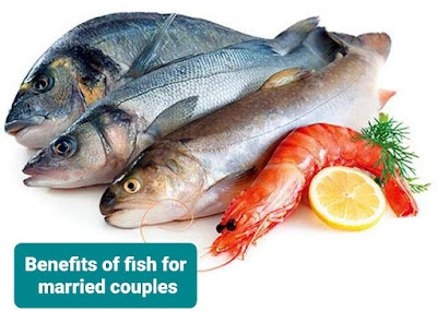 فوائد السمك للمتزوجين Benefits of fish for married couples