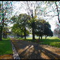 View album