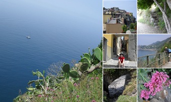 Visualizza manarola corniglia