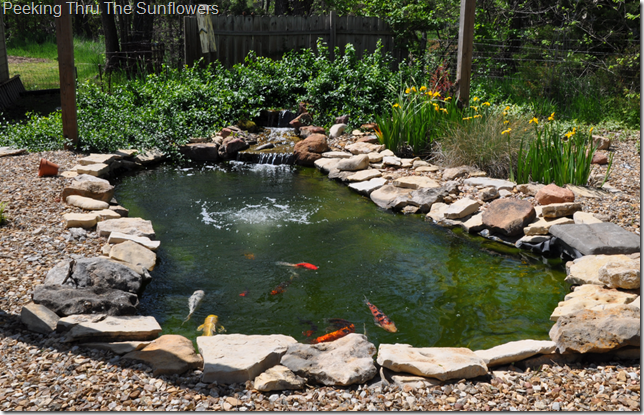 pond2