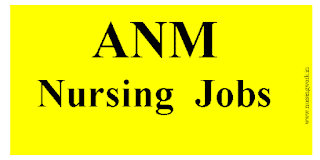 ANM Nursing Jobs