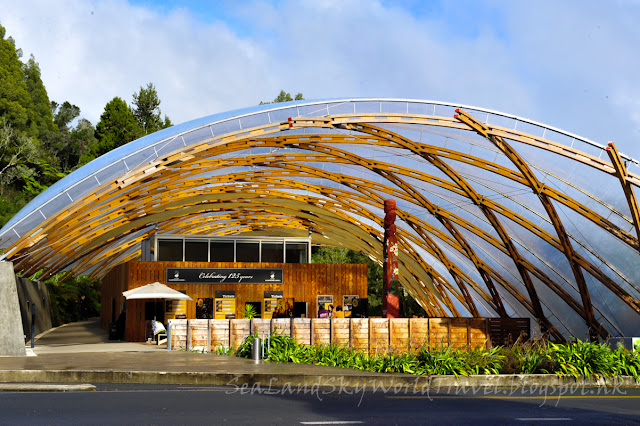 Waitomo Caves, 螢火蟲, glowworm, rotorua, 羅托魯亞