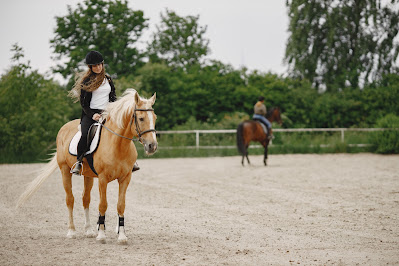 Horseback Riding Seattle