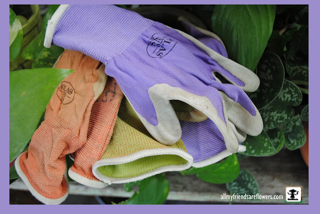 garden gloves allmyfriendsphotography