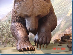Denali Visitor Center 2