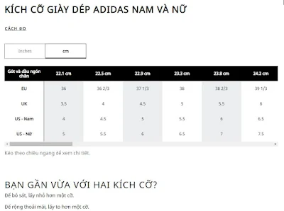 bảng chọn cỡ giày Adidas