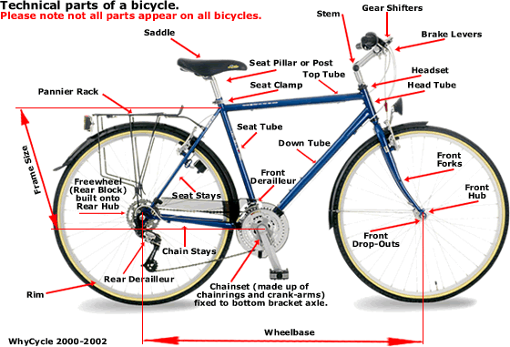 Much Madness is Divinest Sense: Anatomy of a Bicyle - Diagram Bike Parts