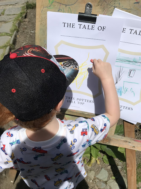 Little boy colouring in pictures of Beatrix Potter characters