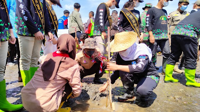 Tanam Mangrove di Pantai Bohay  Probolinggo, Gubernur Khofifah Ajak Dalami Filosofi "Urip Iku Urup"