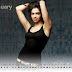 Deepika padukone  Calendar 2011