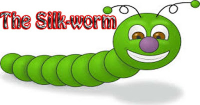 The best cover the silk worm 