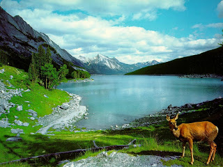 Nature Wallpapers Desktop