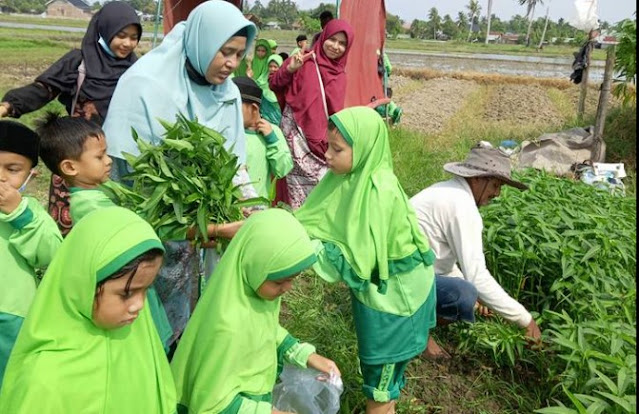 Sekolah Alam Atau Outdoor Class, Menjadi Ikon Sekolah Penggerak SDIT Muhammadiyah Bireuen