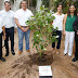 Ayuntamiento y el Museo Fernando García Ponce-Macay suman esfuerzos por el ambiente