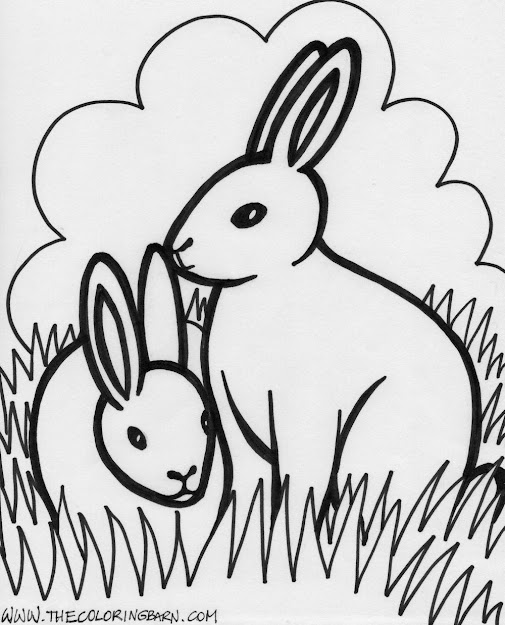 Coloring Book Pictures Of Baby Farm Animals