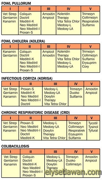 TABEL CONTOH PROGRAM ROLING ANTIBIOTIK