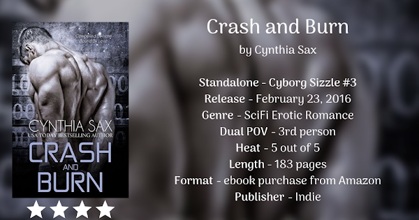 CRASH AND BURN by Cynthia Sax