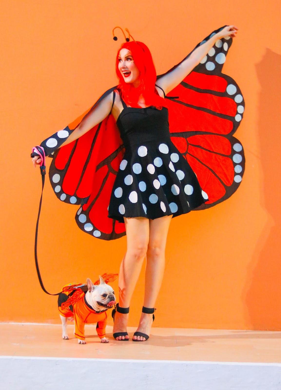 DIY Homemade Butterfly Costume Tutorial - Easy and cheap!