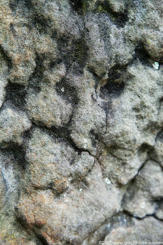 L'écrasé, Gorges d'Apremont, Barbizon