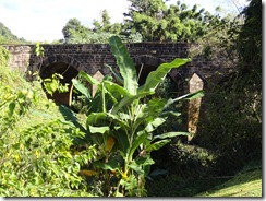 DSC00126